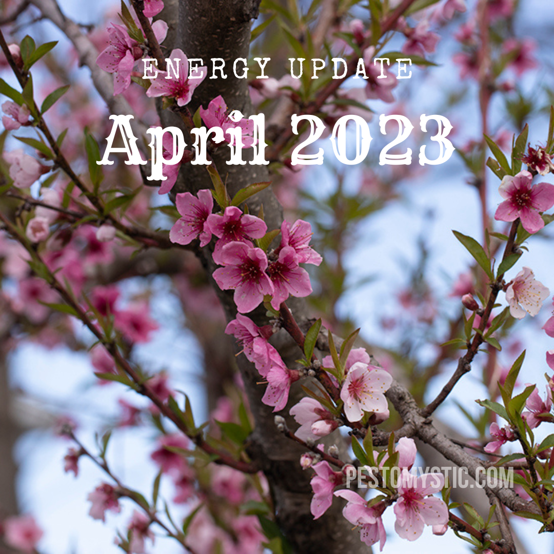 Energy Update April 2023 – Pesto.Mystic